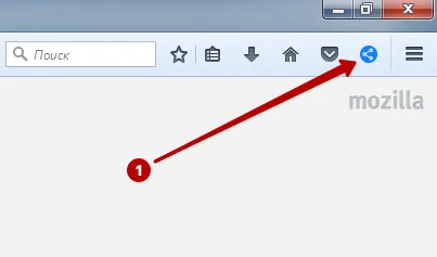 WebRTC отключен через плагин в Firefox