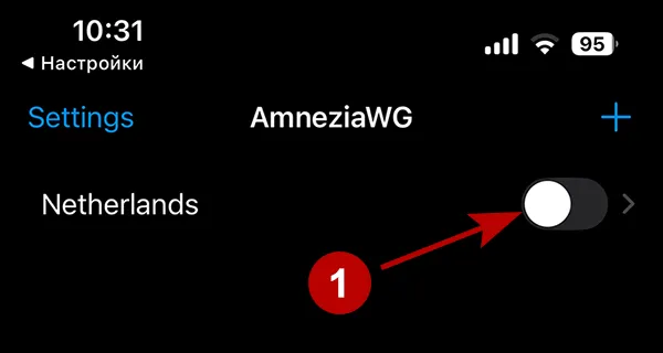 Connect to AmnesiaWG on iOS