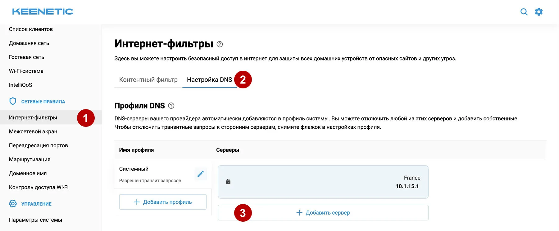 Добавить защищенный DNS для AmneziaWG на роутере Keenetic